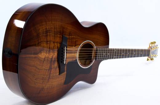 Taylor Guitars - 224CE-K DLX 3
